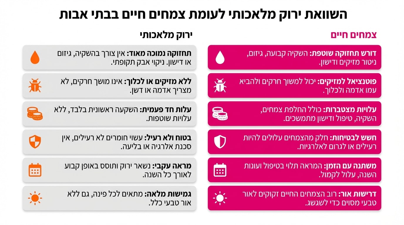 טבלת השוואה בין צמחייה מלאכותית לצמחייה חיה בבית אבות